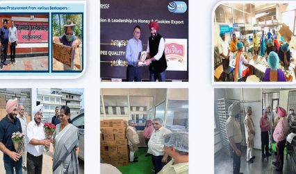 प्रधानमंत्री रोजगार सृजन कार्यक्रम से उद्यमियों को मिला संबल, 73 लाख से अधिक रोजगार के अवसर सृजित