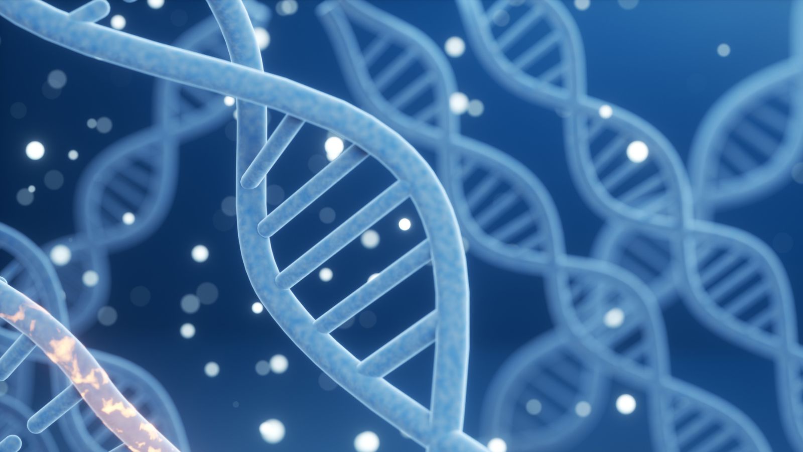 Most people globally face ‘high genetic risk’ for three common diseases: Study
