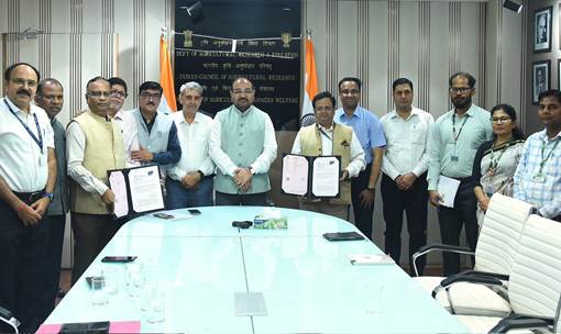 गेहूं-चावल के सुरक्षित भंडारण के लिए ICAR और FCI मिलकर करेंगे शोध
