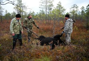 Siberian hunters declare open season on bears after spate of deadly attacks